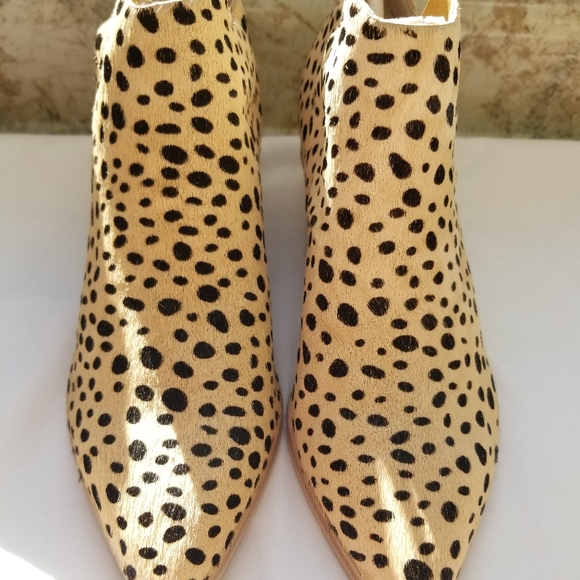 Dolce Vita Shoes - NWT Dolce Vita Bootie